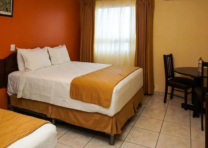 Hotel Palace Ejecutivo